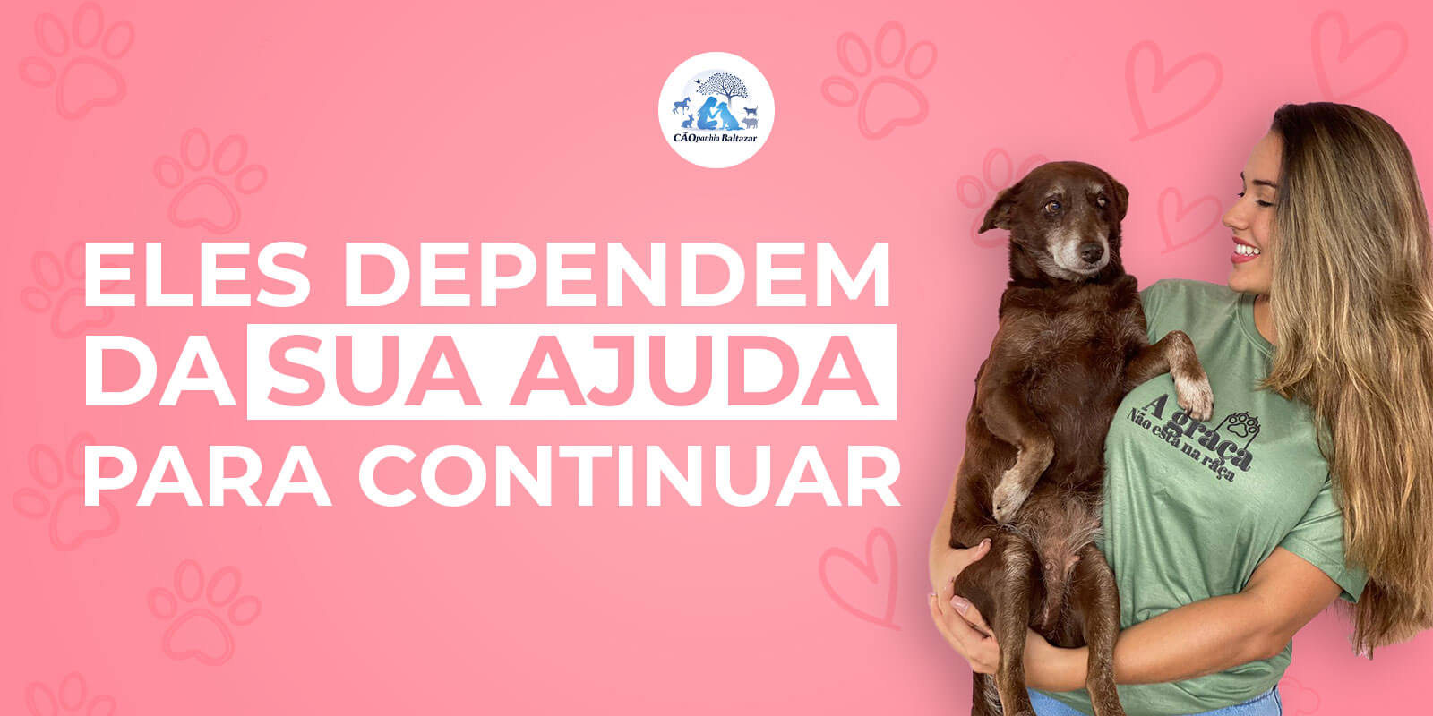 Cão resgatado olhando para a câmera