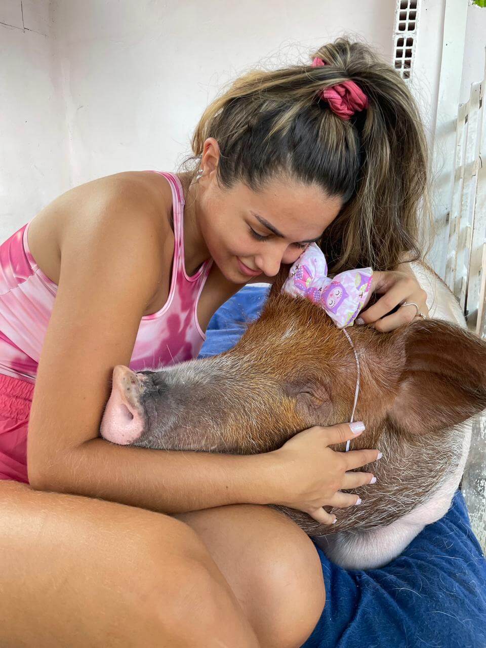 Antes e depois de um animal resgatado