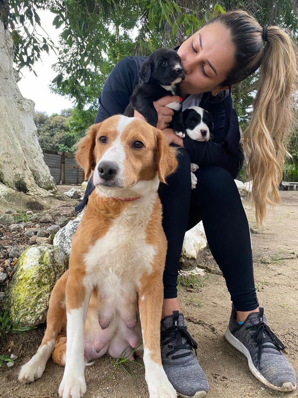 Antes e depois de um animal resgatado